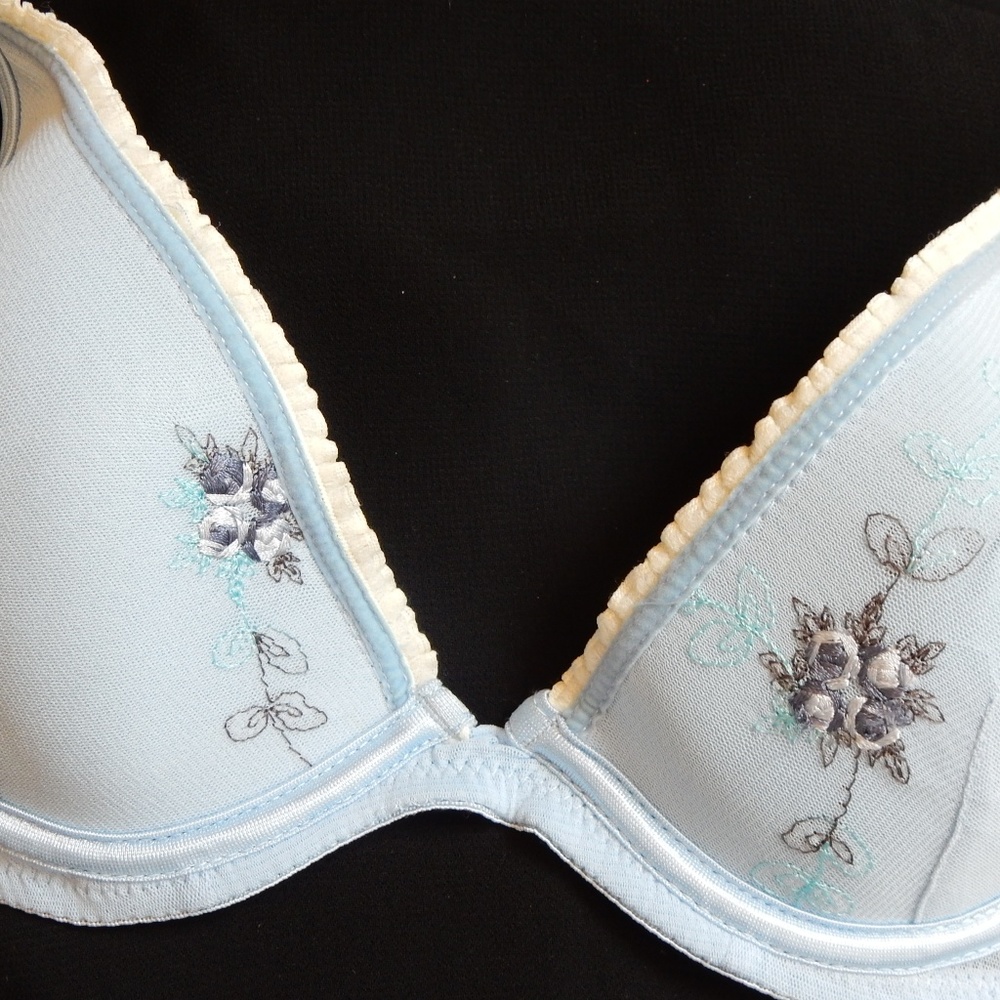 Never Worn Blue Embroidered Bra & Pantie Set